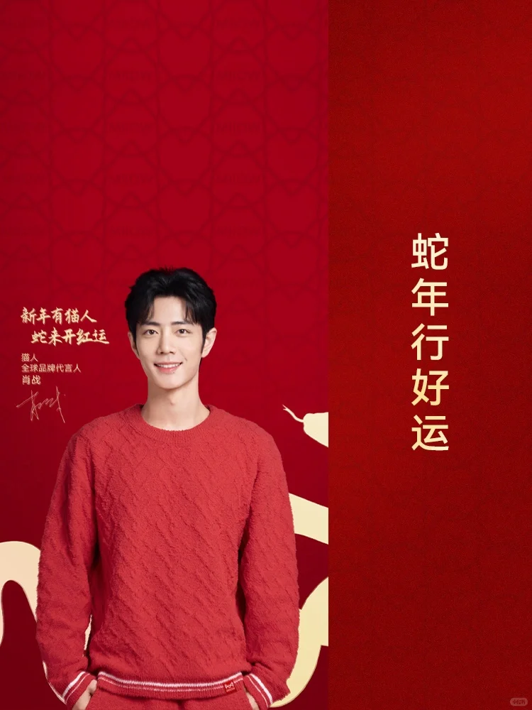 铁粉一枚