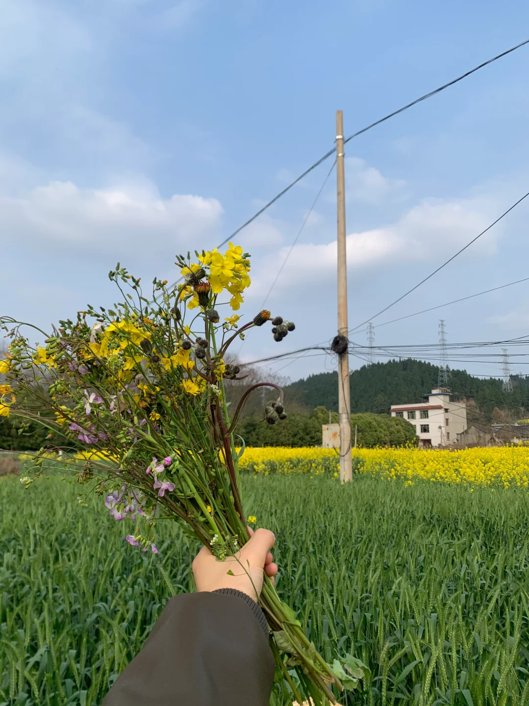 享受春天的阳光☀️