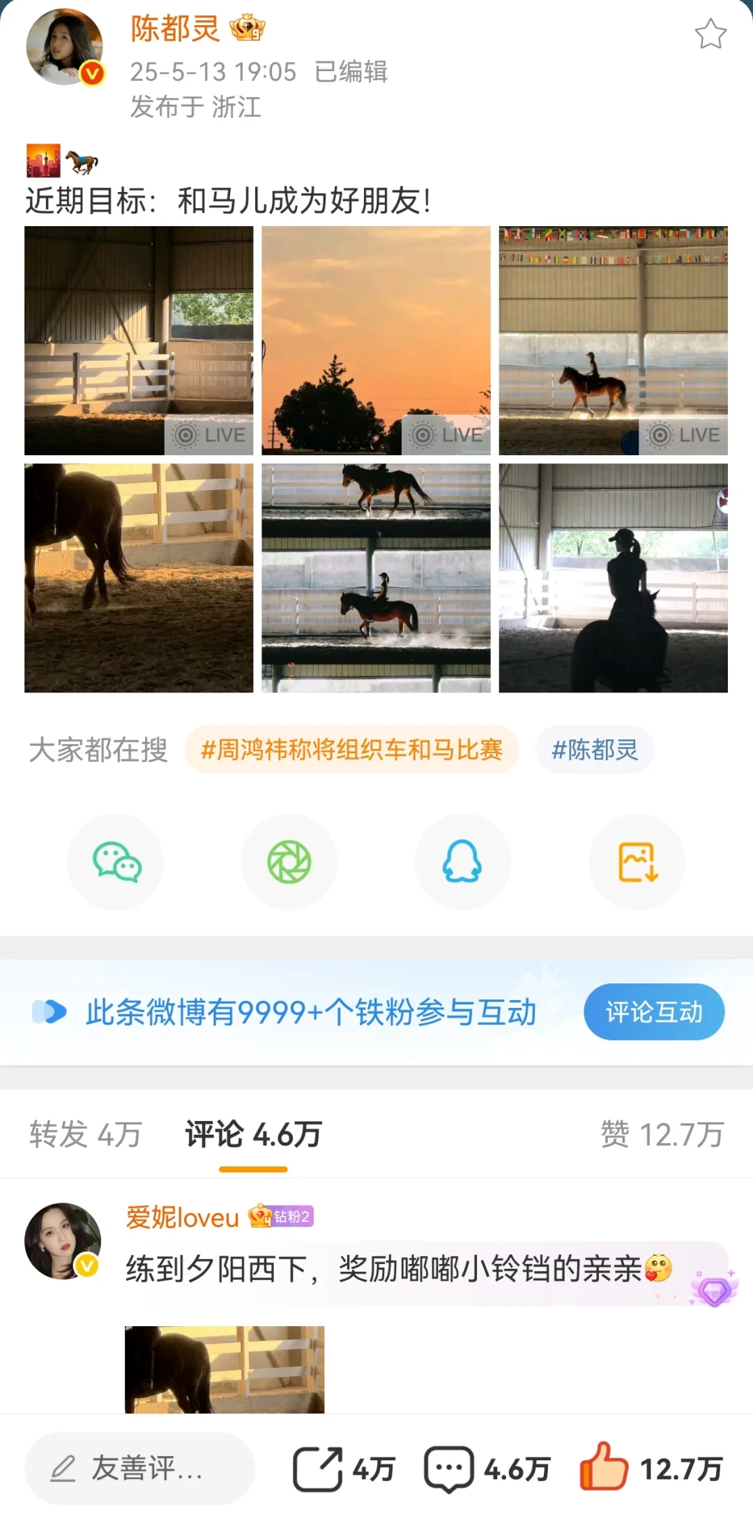 陈都灵铁粉