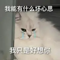 夏天和我 不约而同