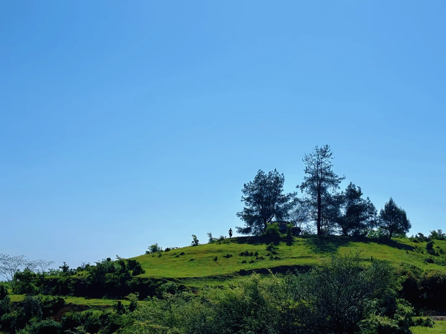 山上好舒服⛰️