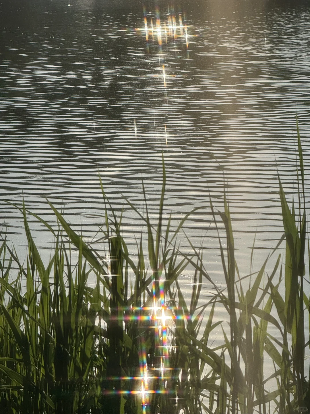 一组拥有生命力的live照🍃🫧