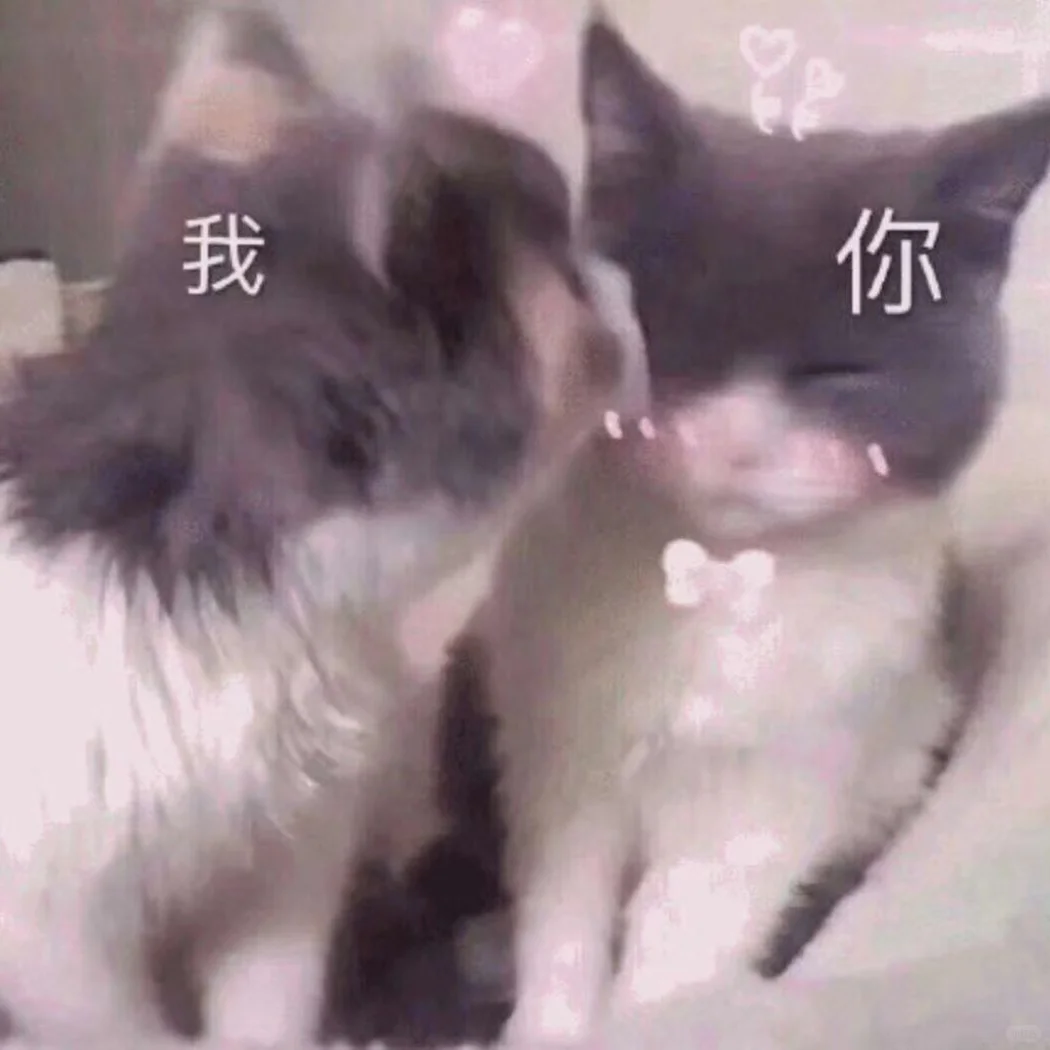 日常分享表情包