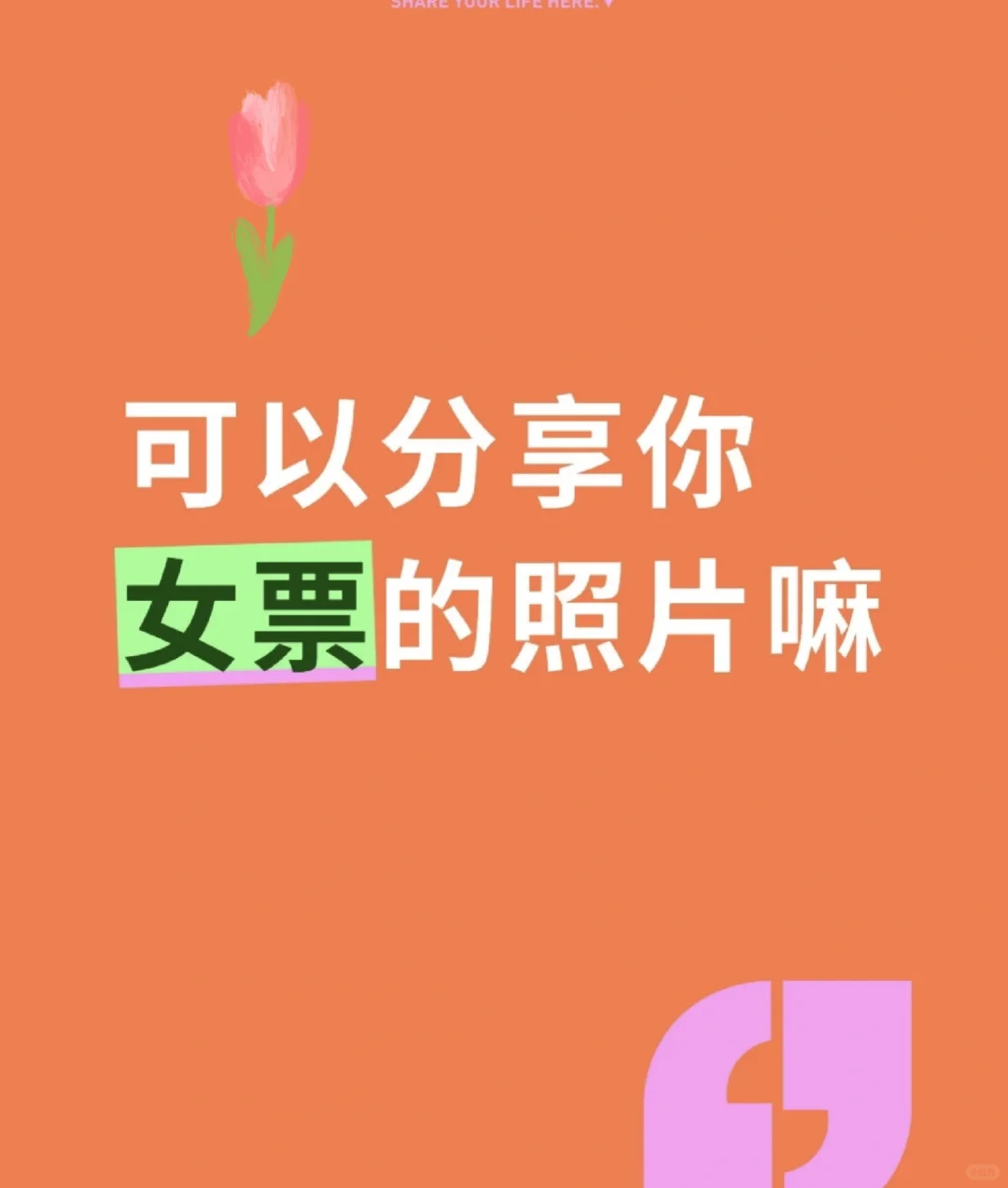 全网寻找绿毛龟