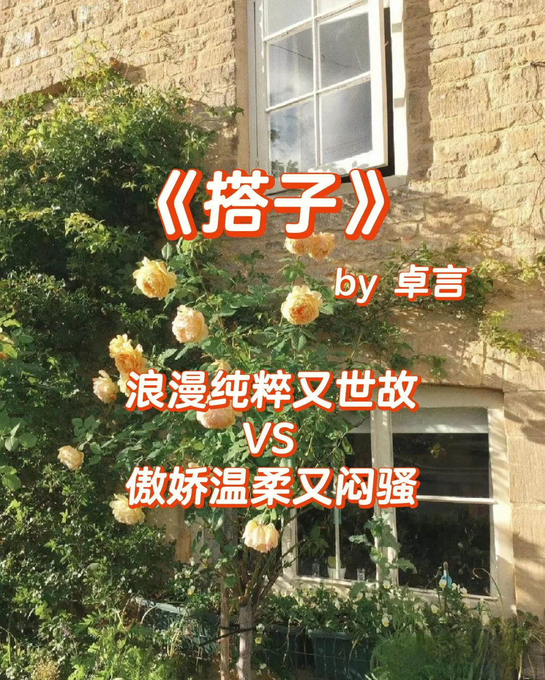 大龄剩女见色起意，却偶遇爱情💓