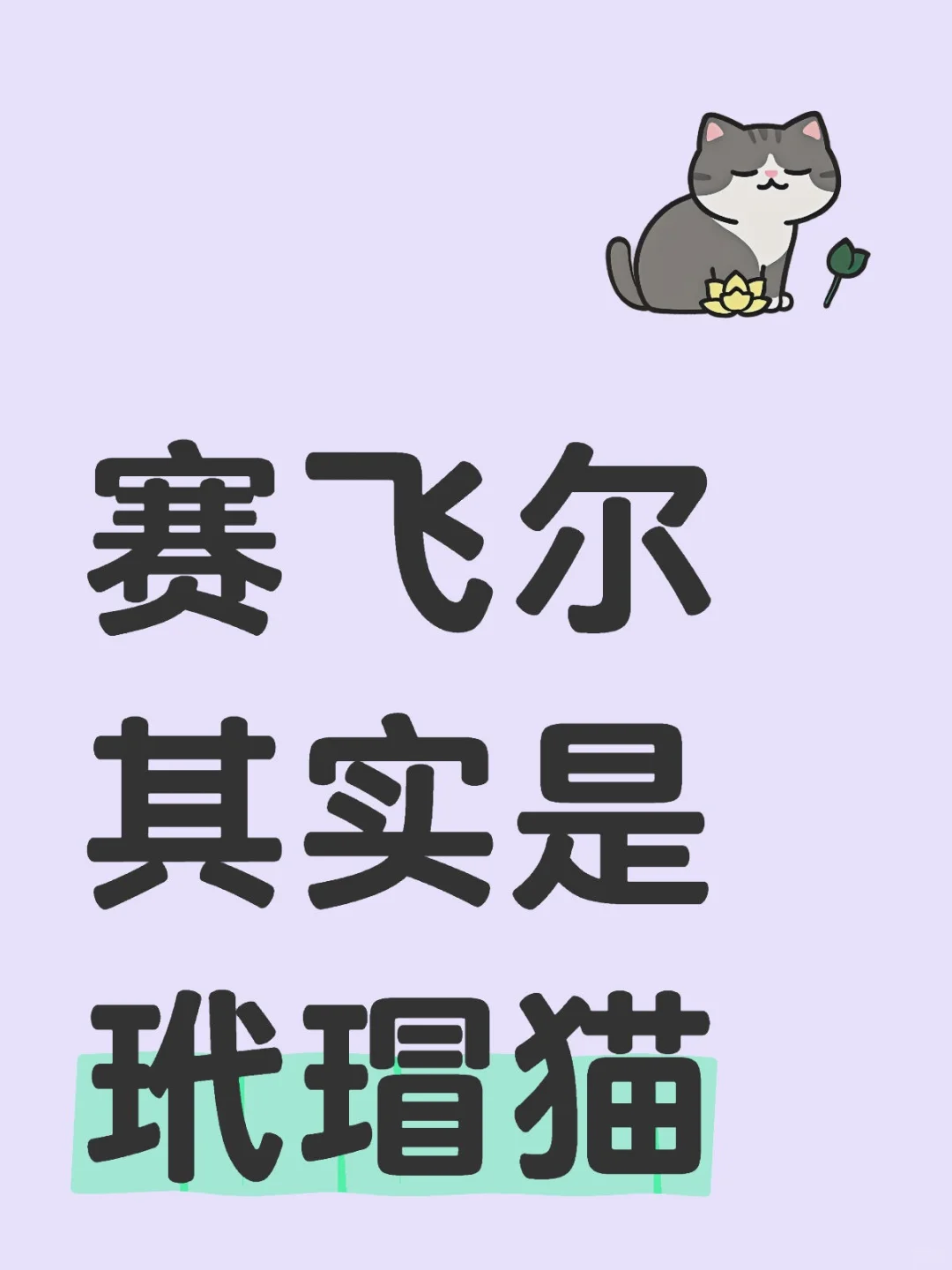 赛飞儿其实是玳瑁猫