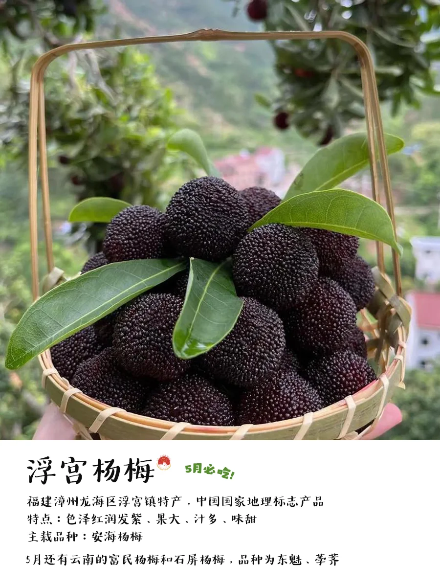 你的5月份吃水果指南来啦