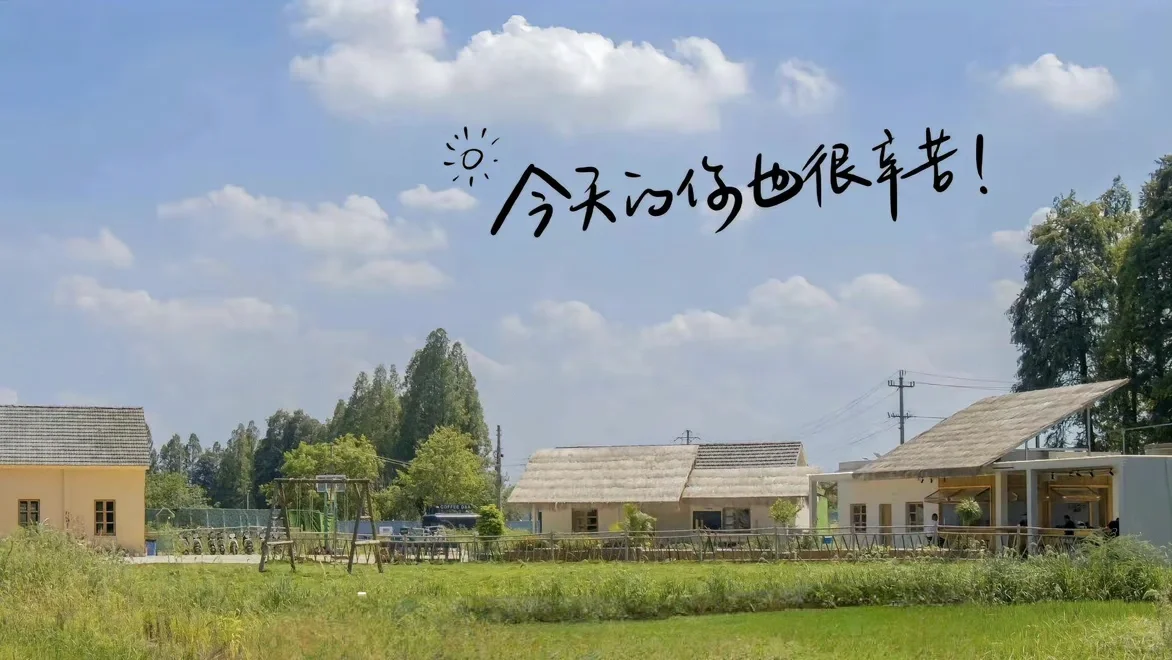 “董事”的电脑壁纸 2.0