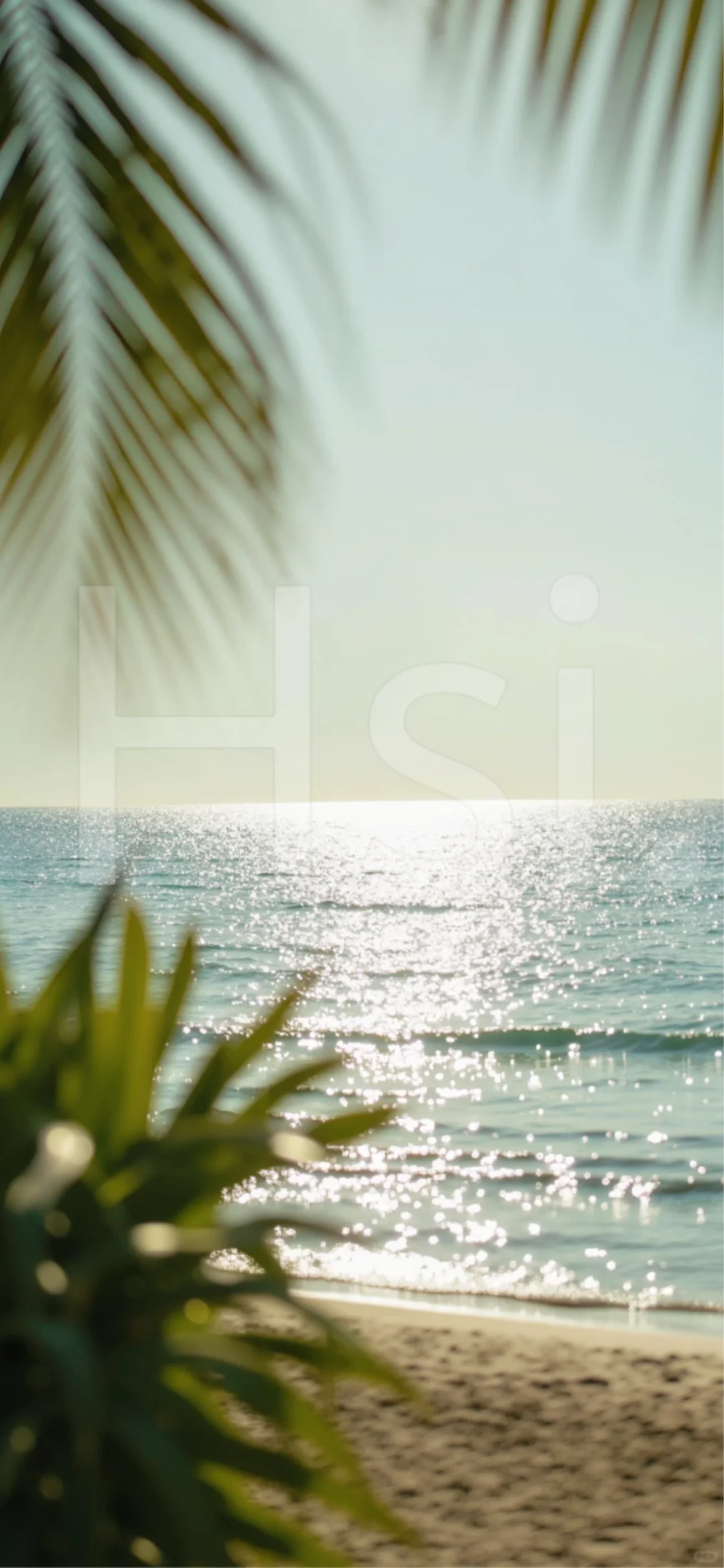 明亮的夏日｜壁纸Wallpaper