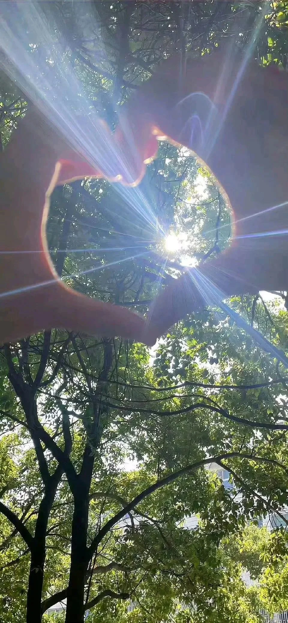 护眼高清壁纸～～