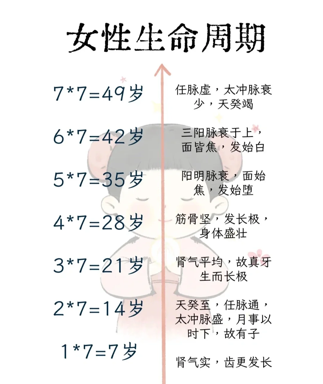 女生的生理成长与衰败期