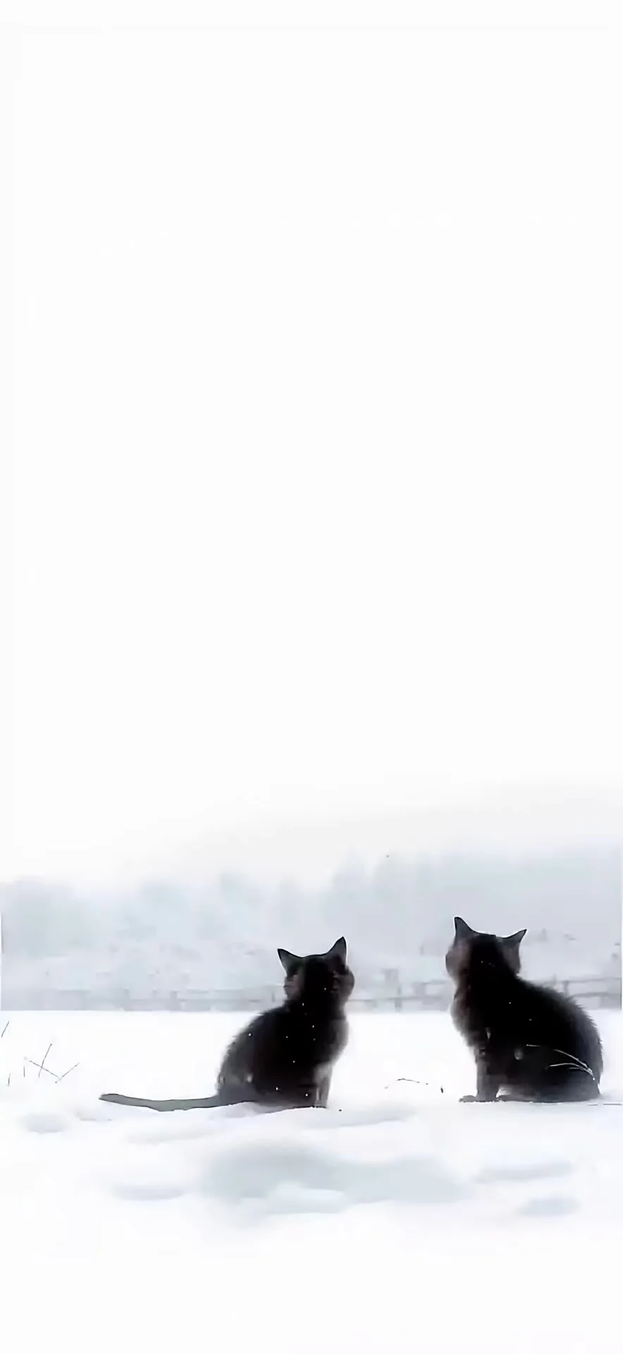 背景图推荐