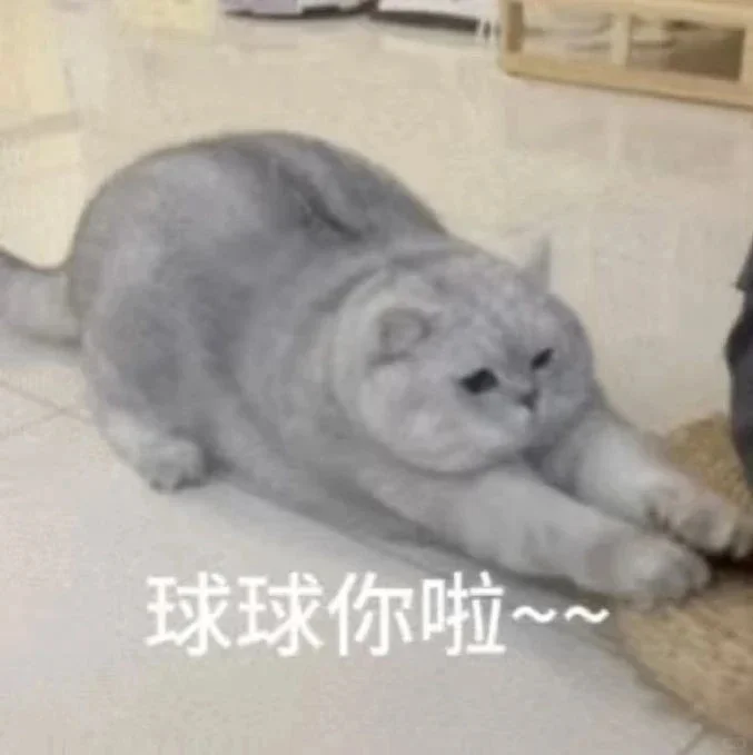 自用表情包分享