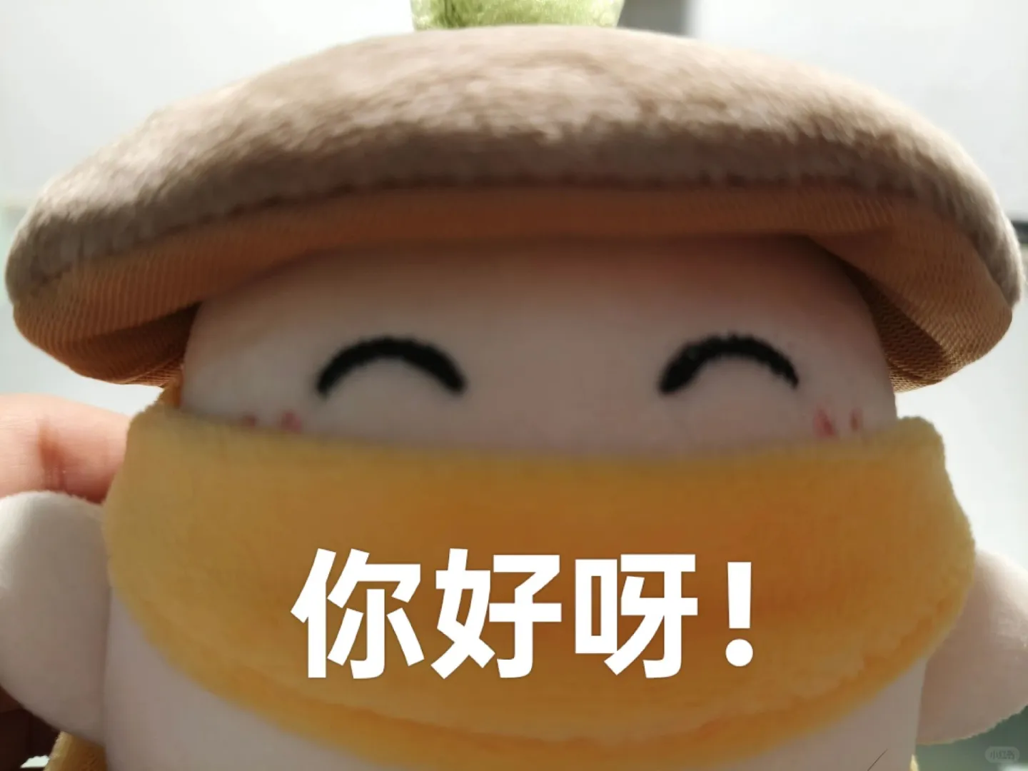 可爱的萝千里可以预定啦，宝宝们快来！！
