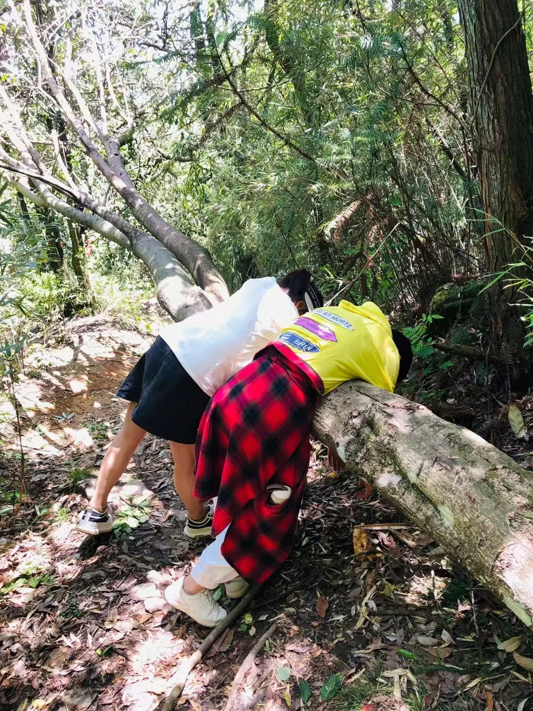 观雾山普贤顶