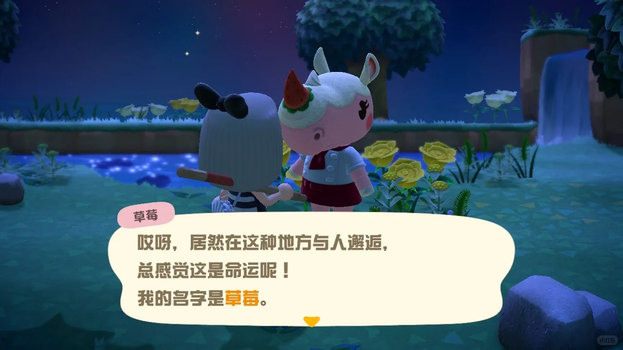 好耶好耶