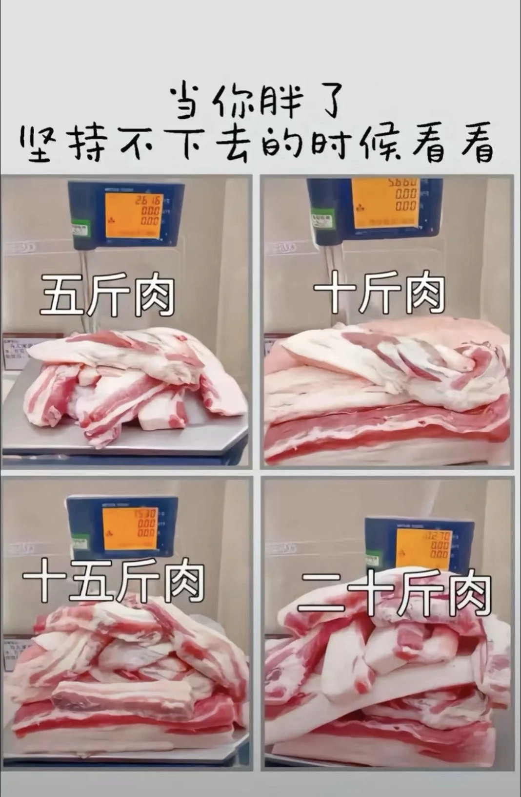女孩子就要美美哒