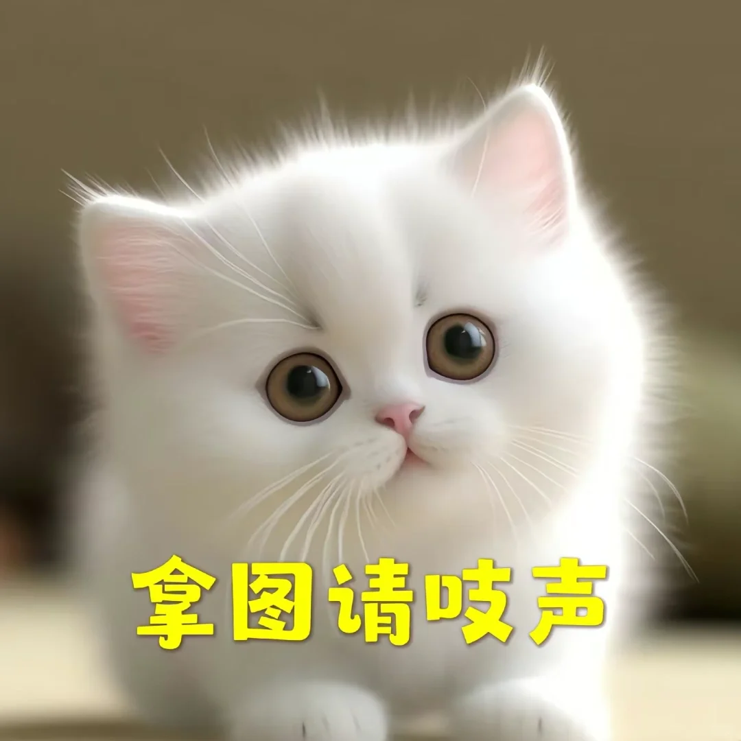 治愈壁纸，风景系列。夏日阳光
