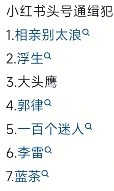 听说这些人是小红书的头号通缉犯，真的假的