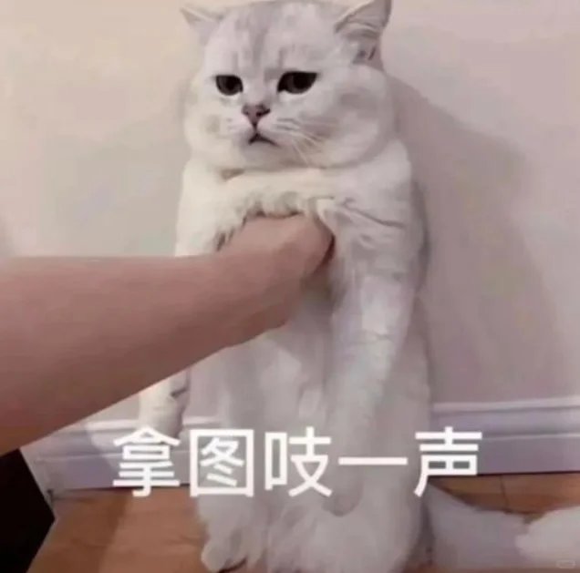 自己用过的手机壁纸分享