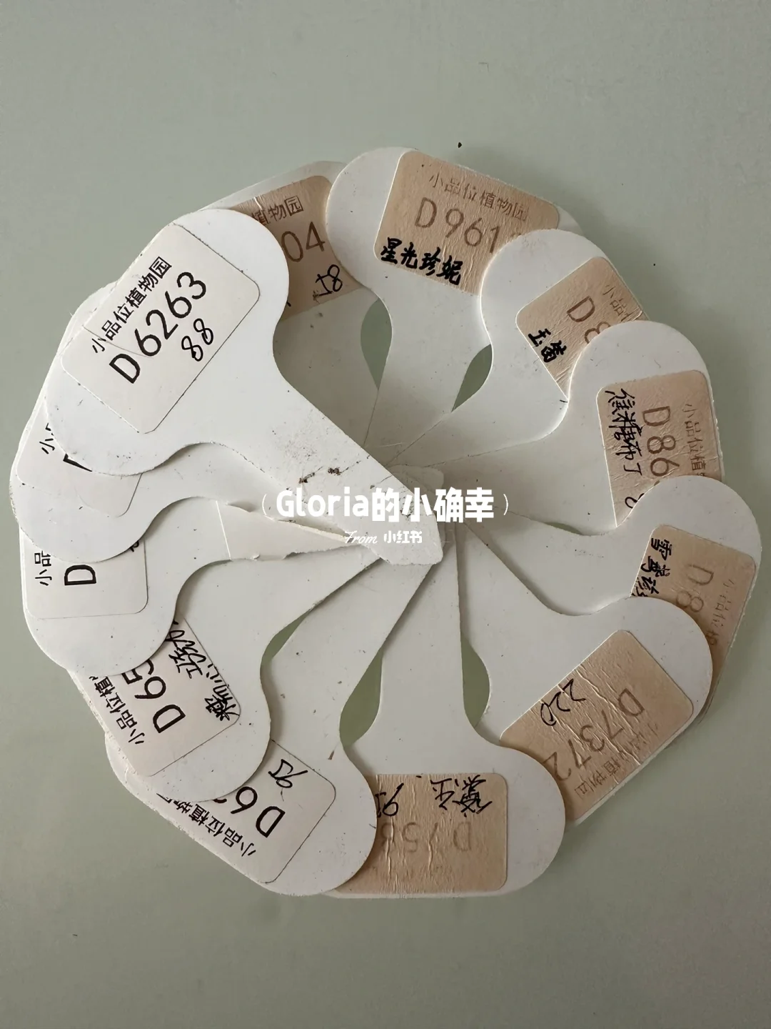 是小品味铁粉不？