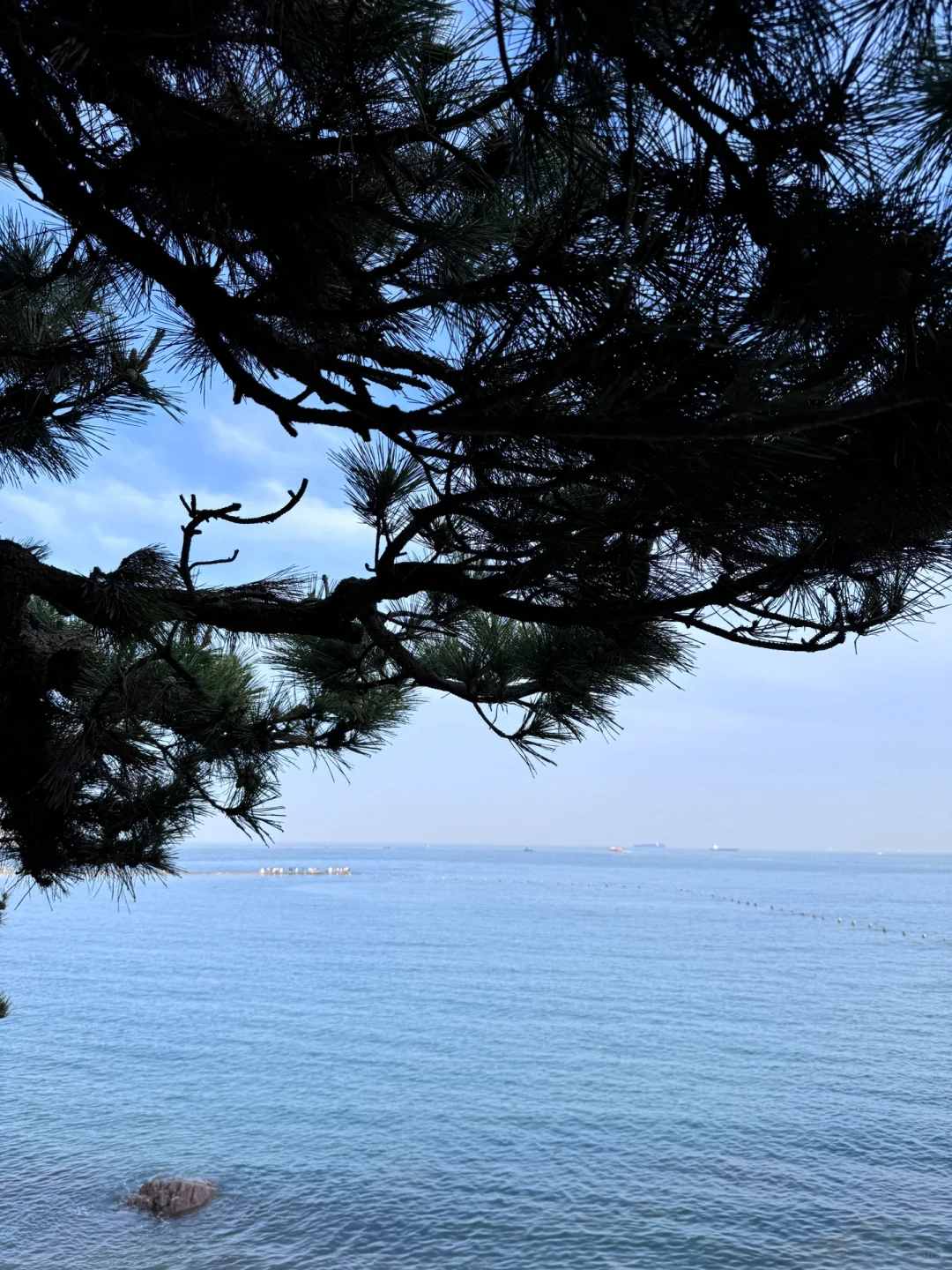 青岛第二海水浴场🌊绝美拍照机位🏝️