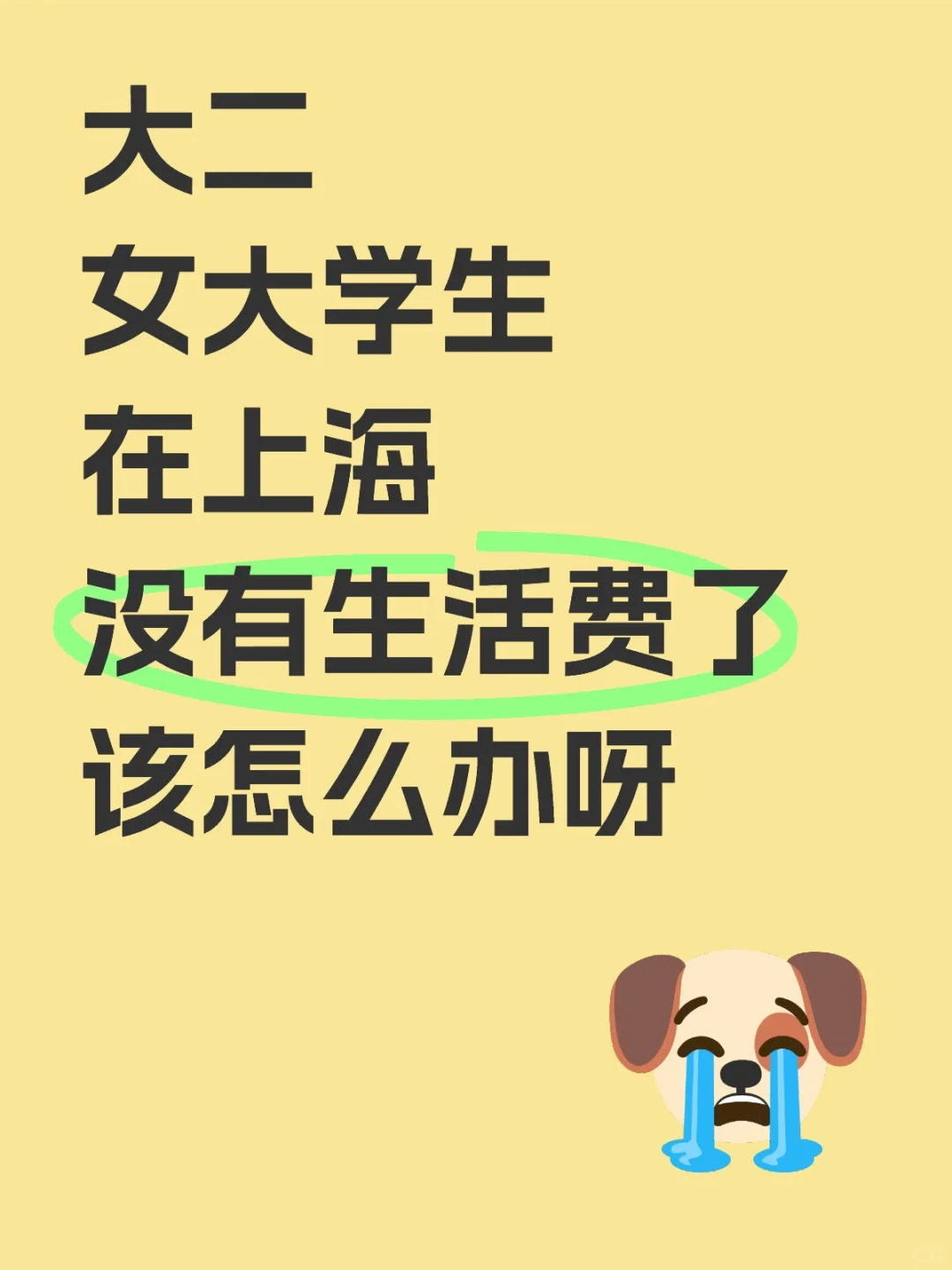 害 不知道该怎么办了