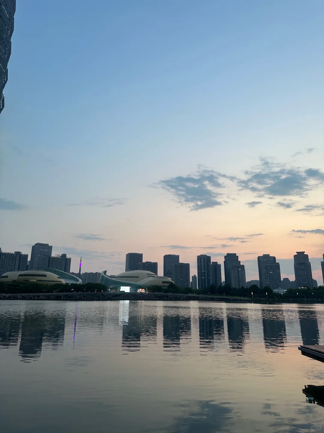 周一的她和它