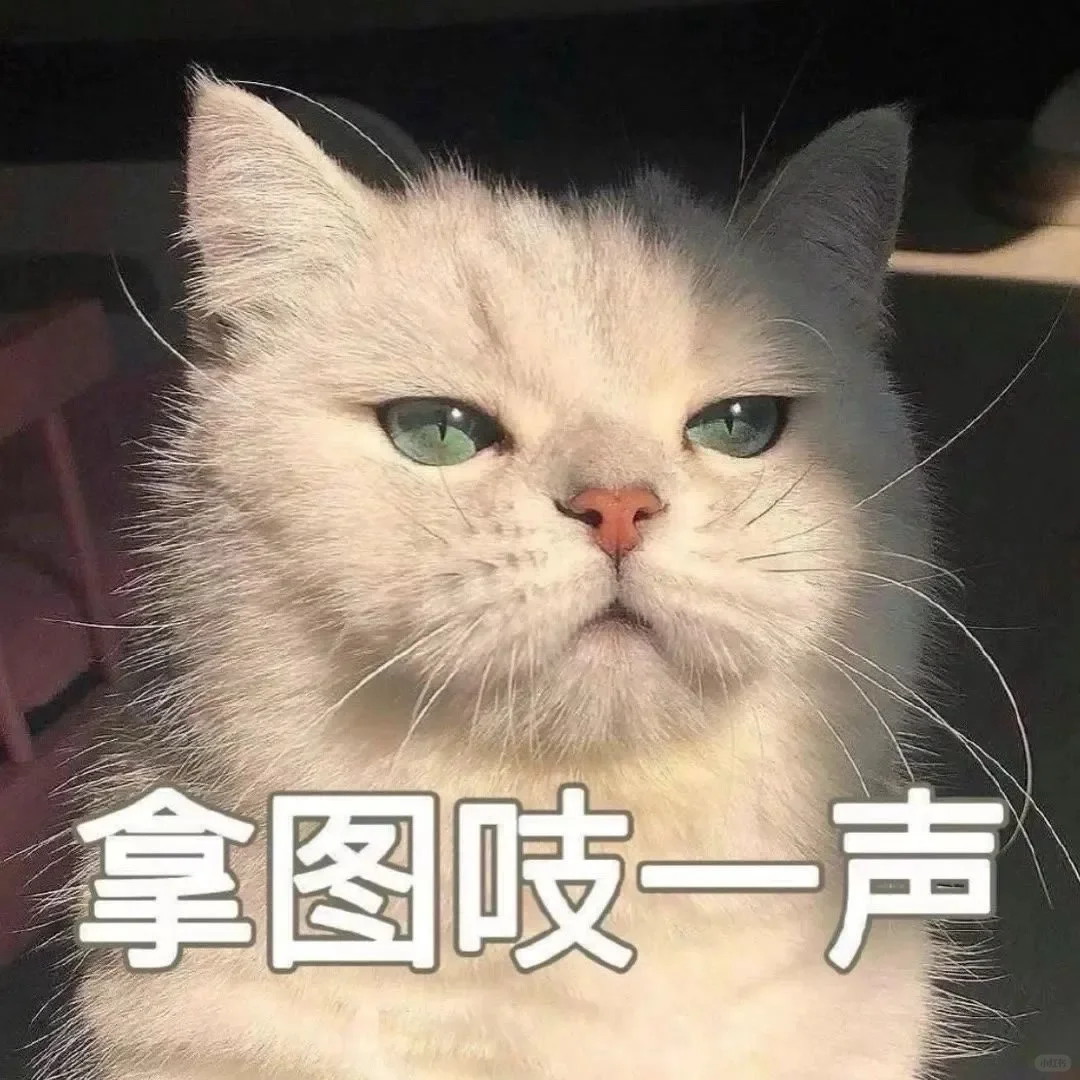 疯狂动物城尼克朱迪壁纸