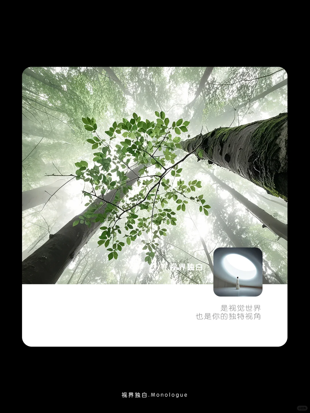 踏入绿野仙踪的诗行🌿｜18壁纸
