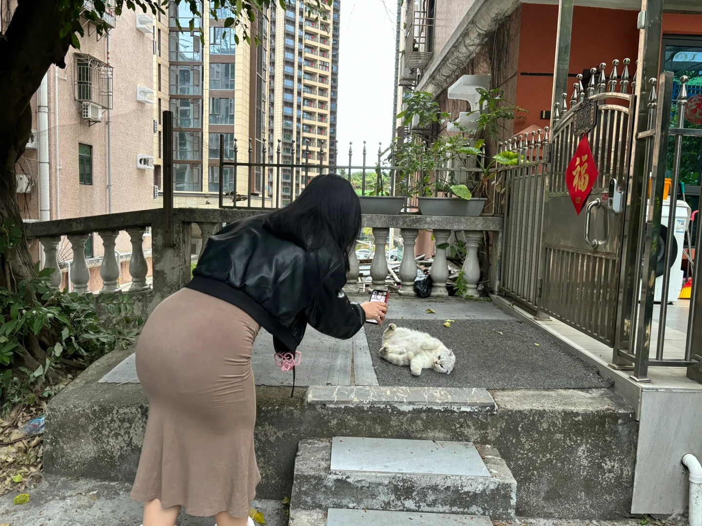 我爱包臀裙！