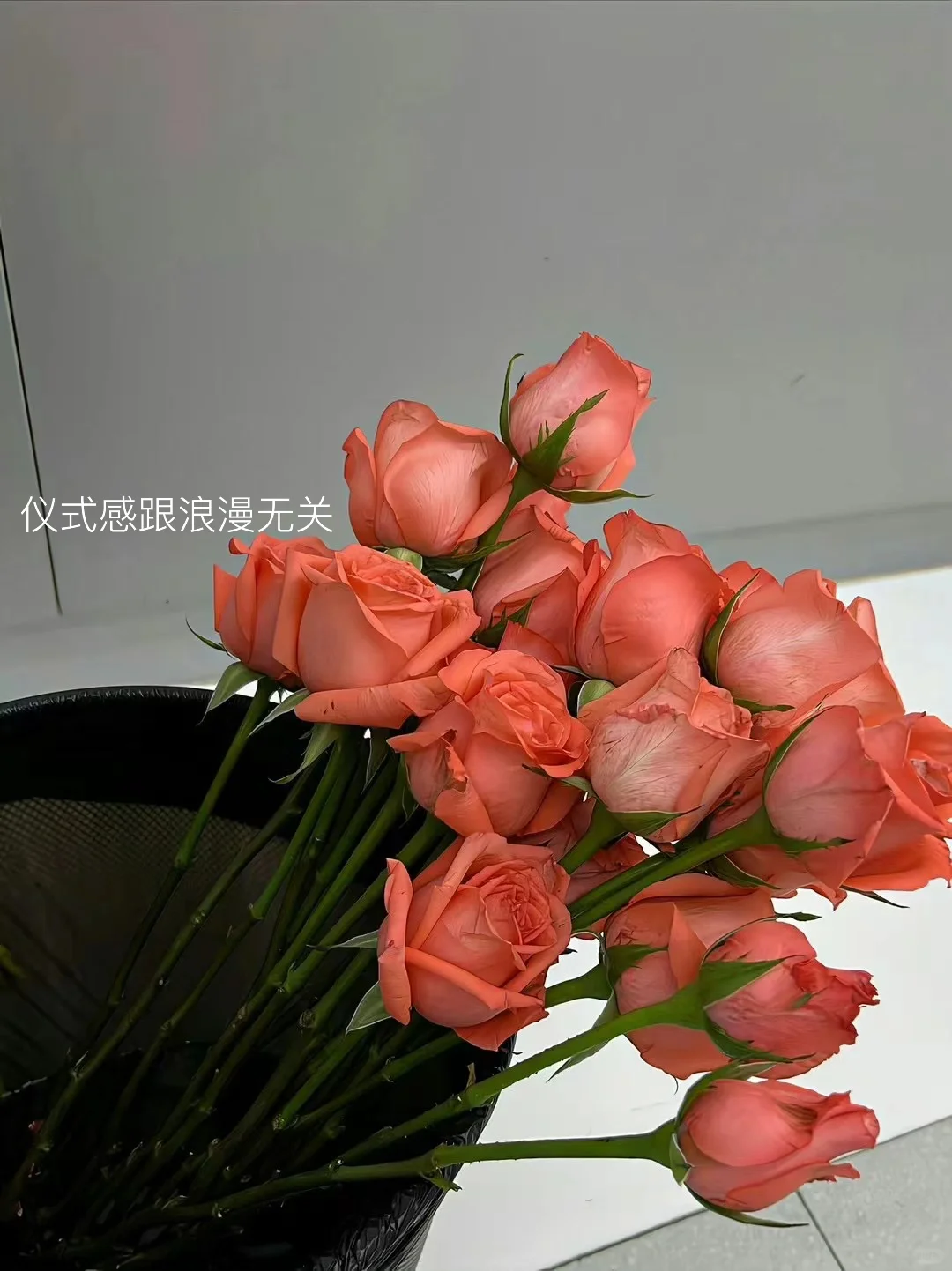 29岁已婚少妇 | 突然被这段话治愈了…