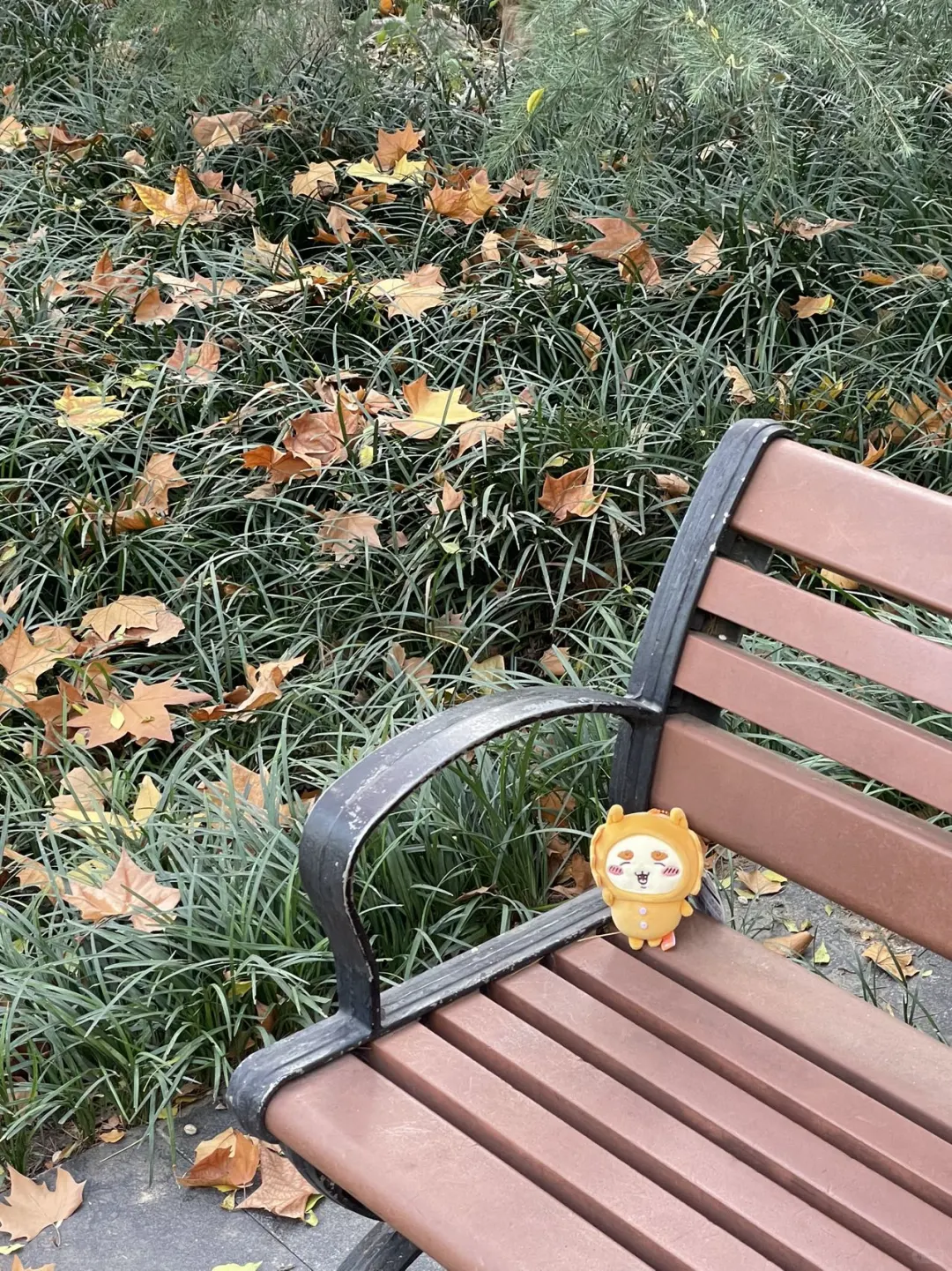 阳光在手指间☀️
