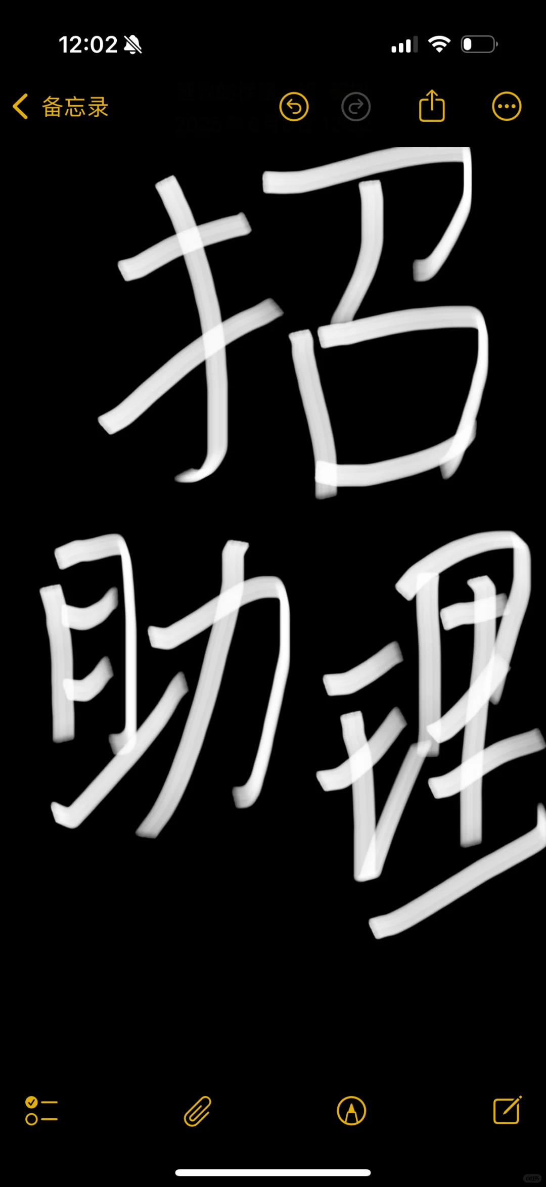 招女助理，会开车，深圳
