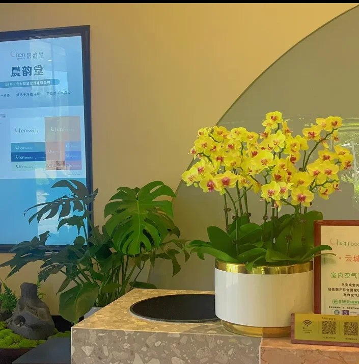 「让自己变美这件事没有标准」🌻