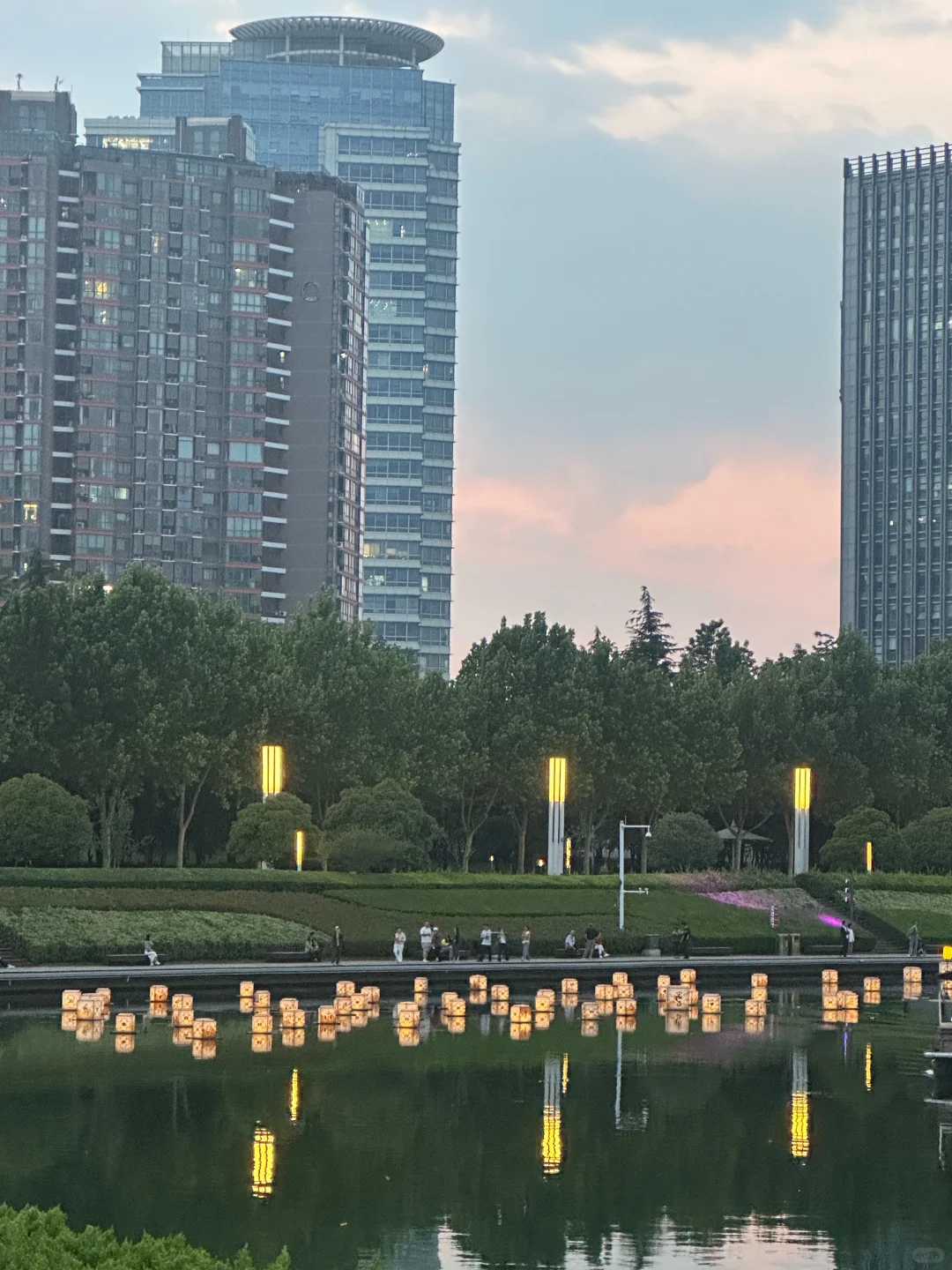 周一的她和它