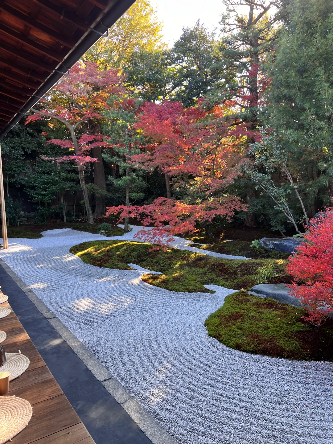 Tifukuji Toyoto🍁看到了人生红枫叶
