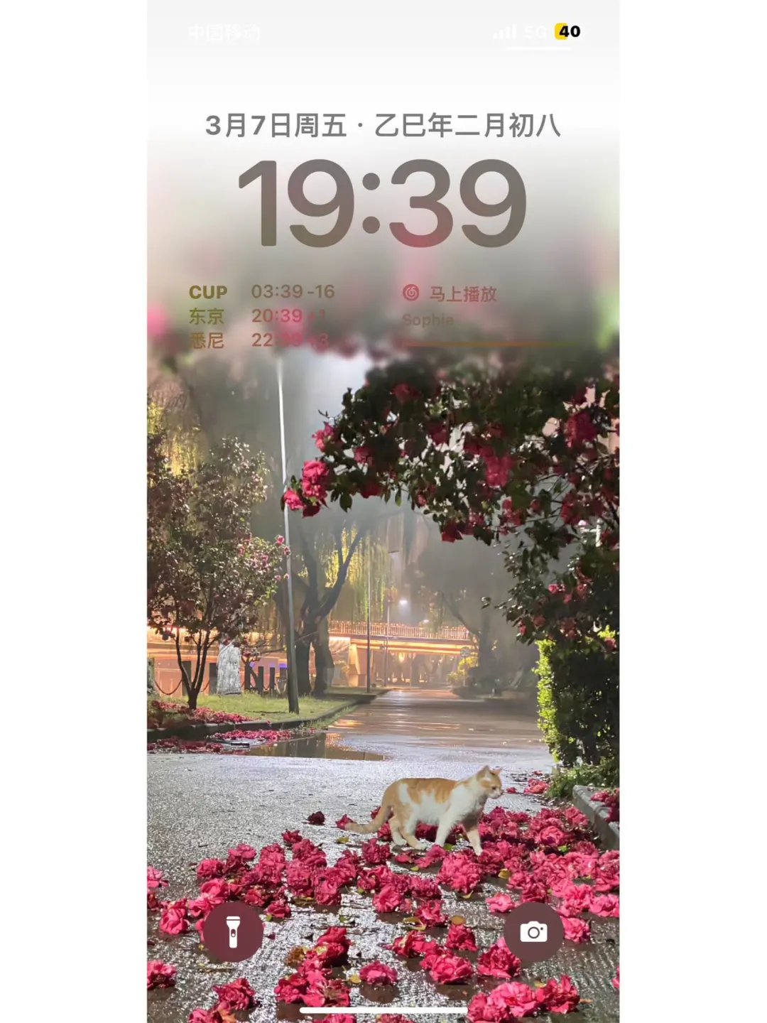 清晨，阳光，书和风🍂🍃