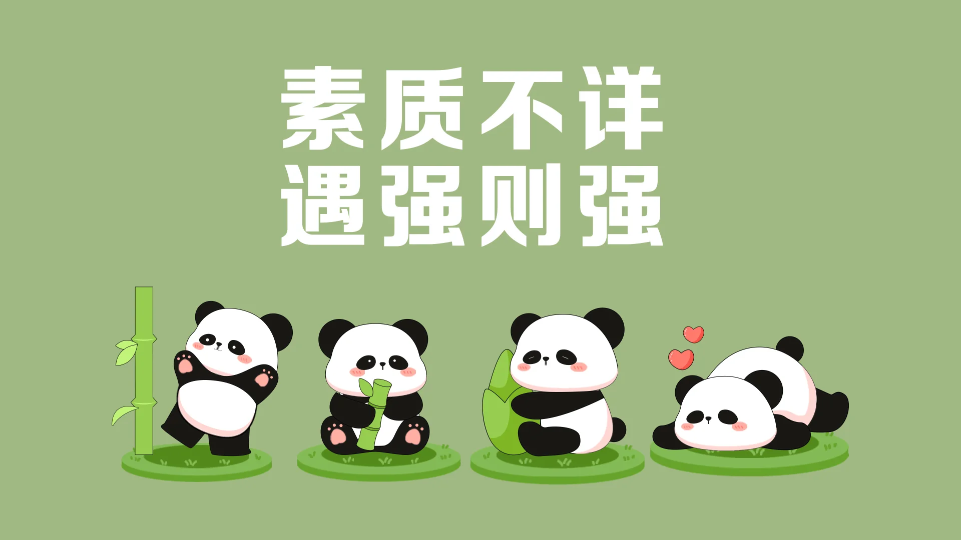 打工人必收！超燃熊猫电脑壁纸🐼