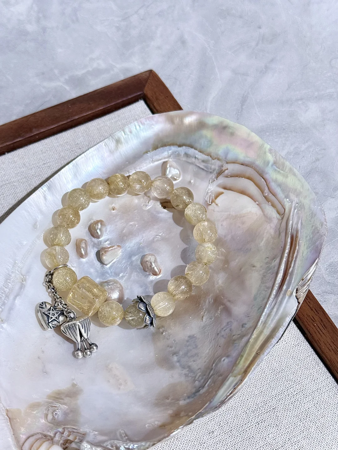 🦪·💴 贝壳🐚里面🈶森么～