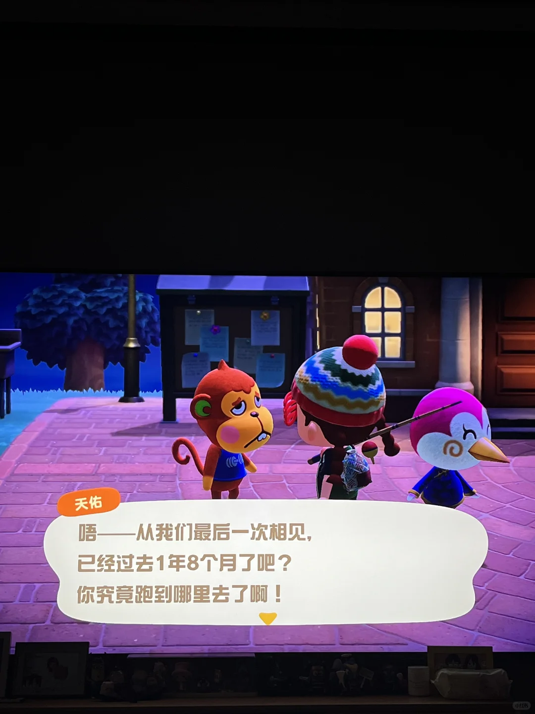 今日上岛~布知岛