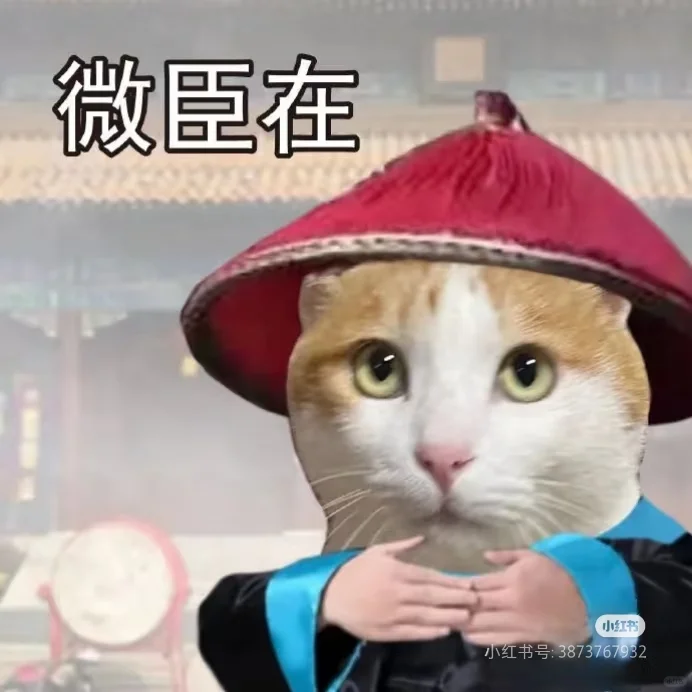 跪求 拍婚礼视频