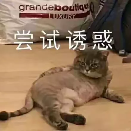 调戏男朋友/crush的表情包😳