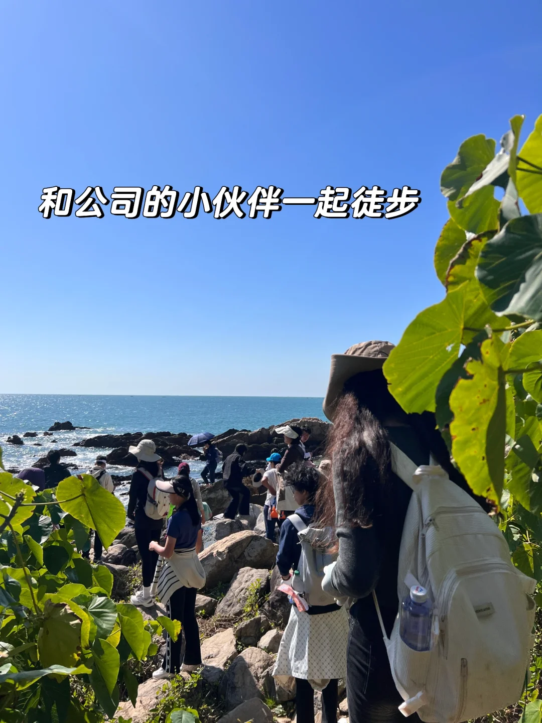 坐标深圳，入职神仙电商公司！！