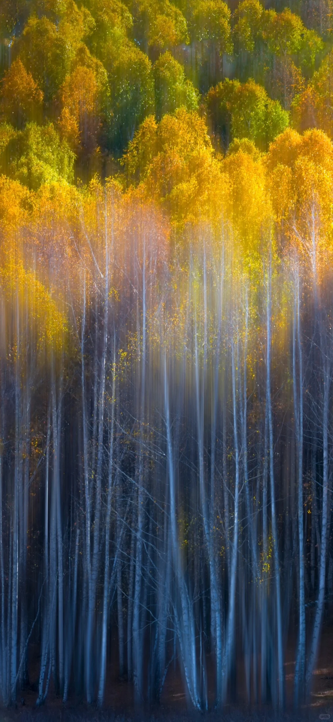 壁纸｜15张iPhone景深壁纸(上)