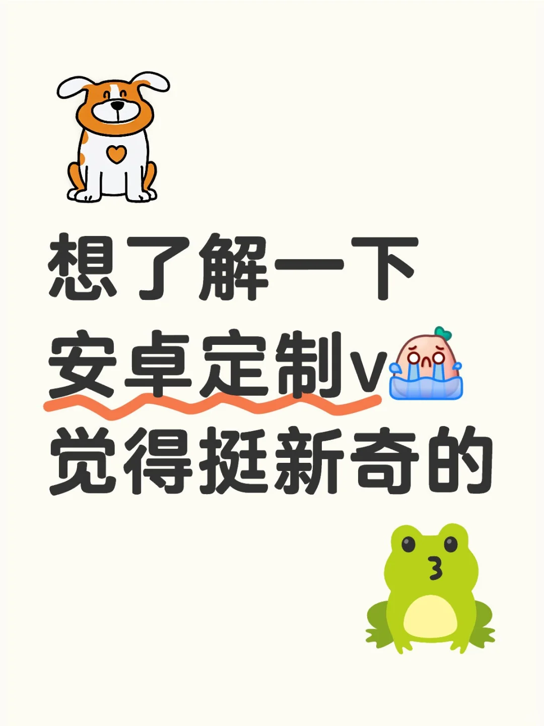 定制