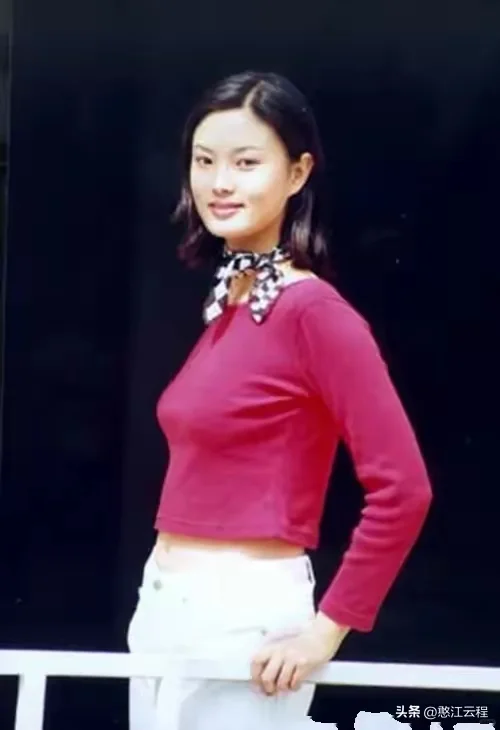 央视主持人刘芳菲，中国名女人妆容