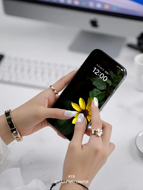 每日壁纸|清新小黄花