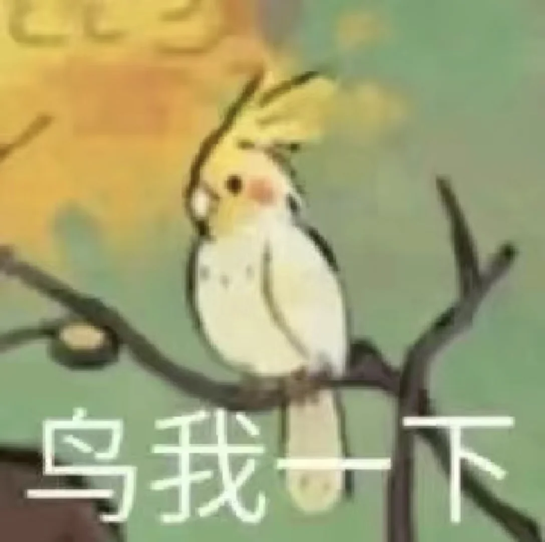 表情包分享16.0来噜🌟