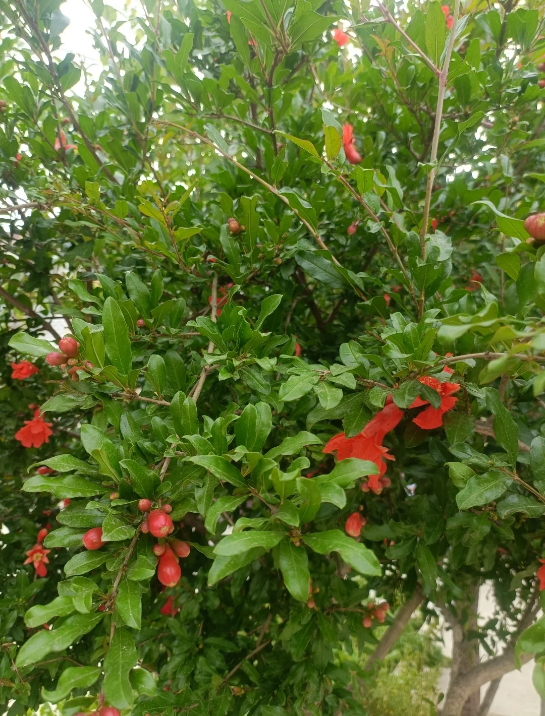 45岁，小妈今天风韵十足！